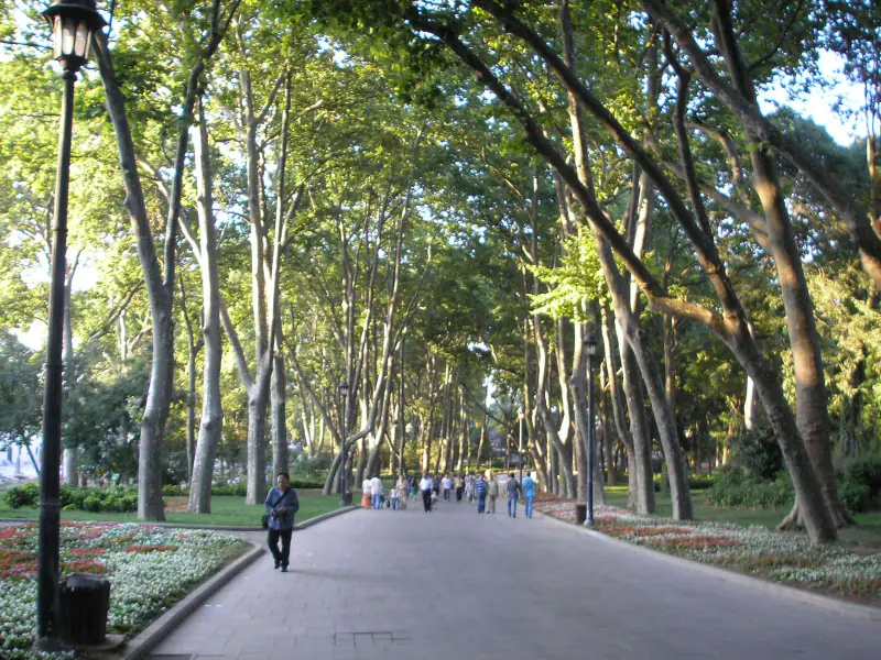 A tree-lined path in Gülhane Park