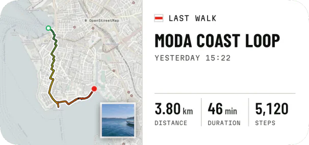 Last walk: the route on the map and its numbers